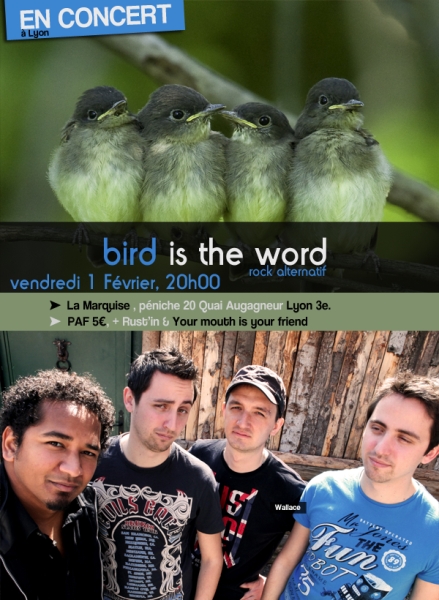 Bird is the word