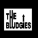 the bludgies